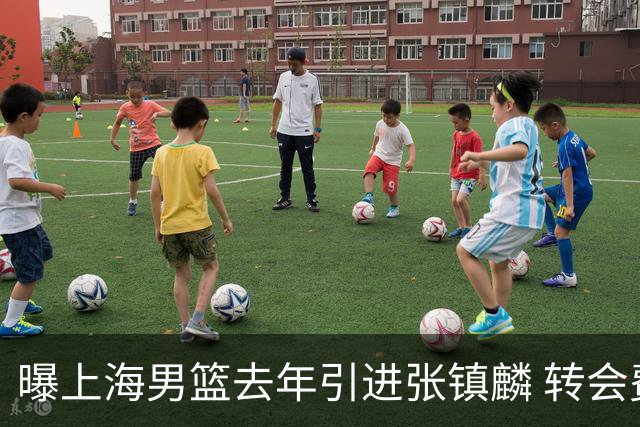 曝上海男篮去年引进张镇麟 转会费投入超5000万