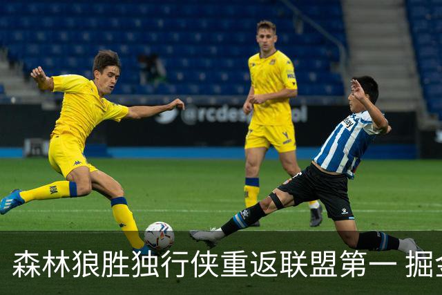 森林狼胜独行侠重返联盟第一 掘金胜篮网3连胜